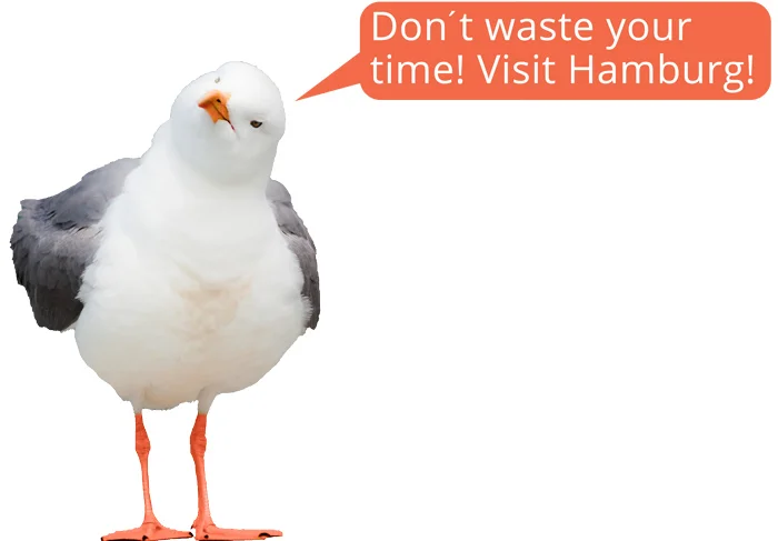 A gull in Hamburg saying something